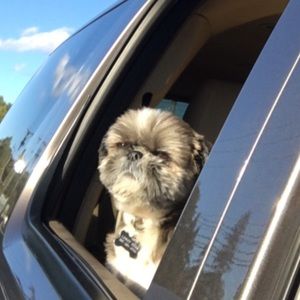 Meet your Posher, Mike